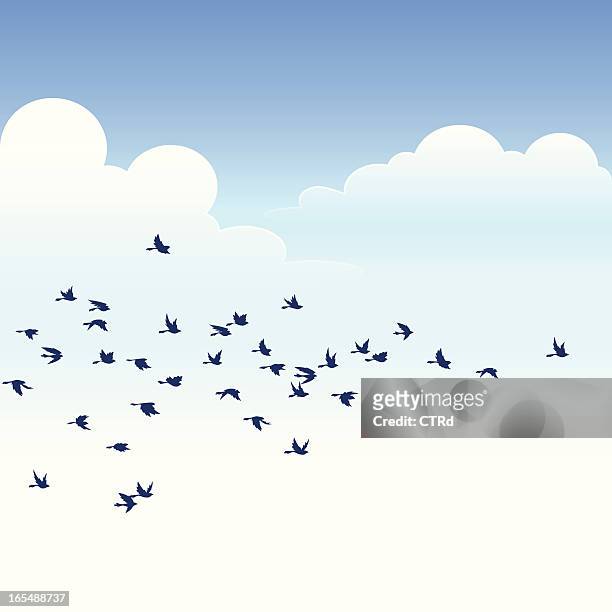 flock of birds - vogelschwarm stock-grafiken, -clipart, -cartoons und -symbole