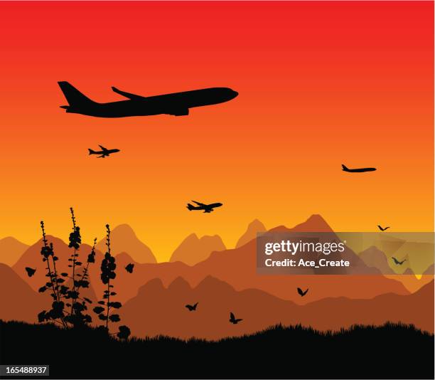 stockillustraties, clipart, cartoons en iconen met air transportation - bedrijfsvliegtuig