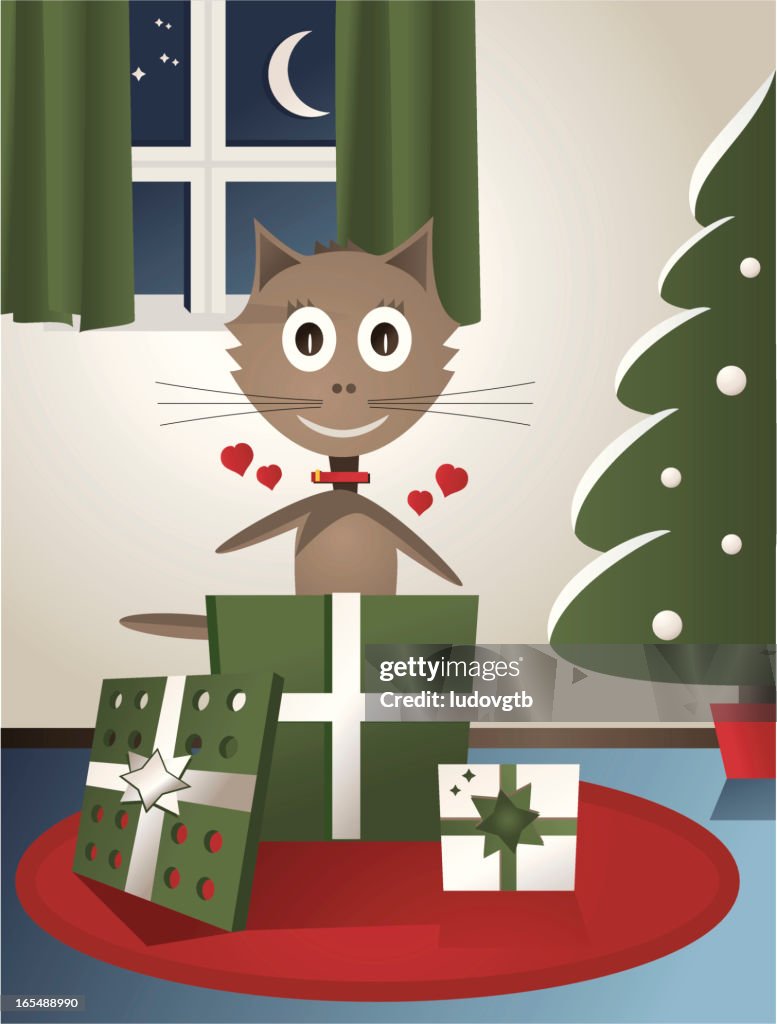 Cat & gift