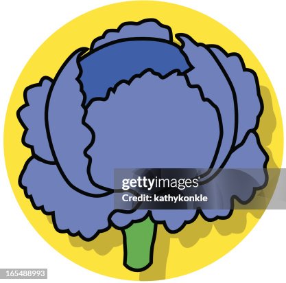 Cabbage icon Cabbage icon