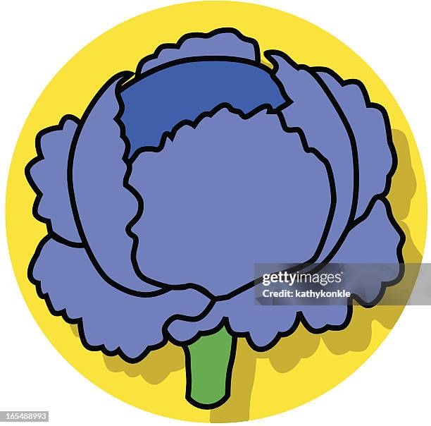 cabbage icon - red cabbage stock illustrations
