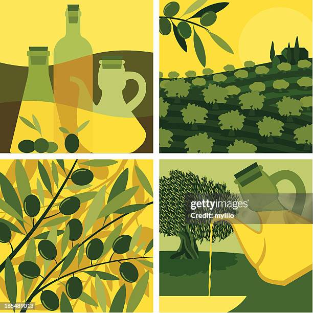 olive oil set - green olive fruit stock illustrations