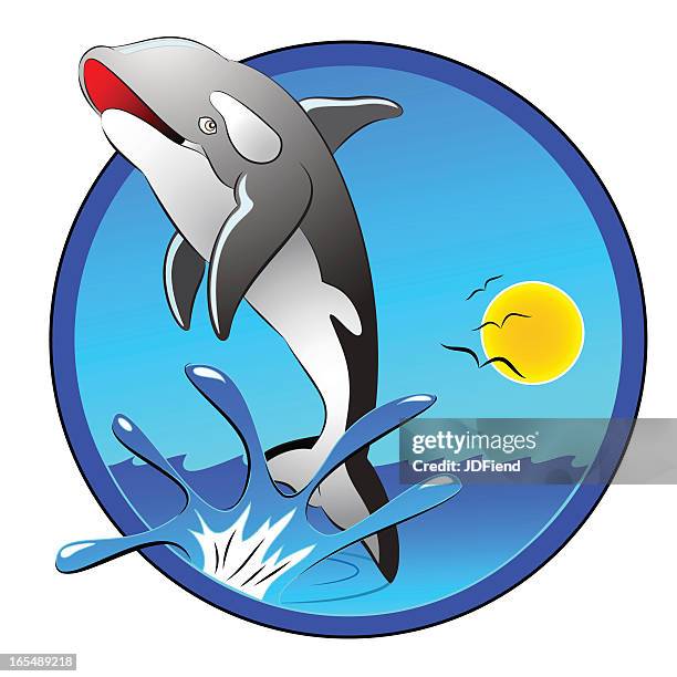 orca splash - orca stock illustrations