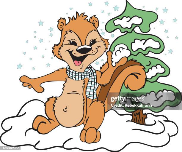 squirrel winter - winter squirrel stock illustrations