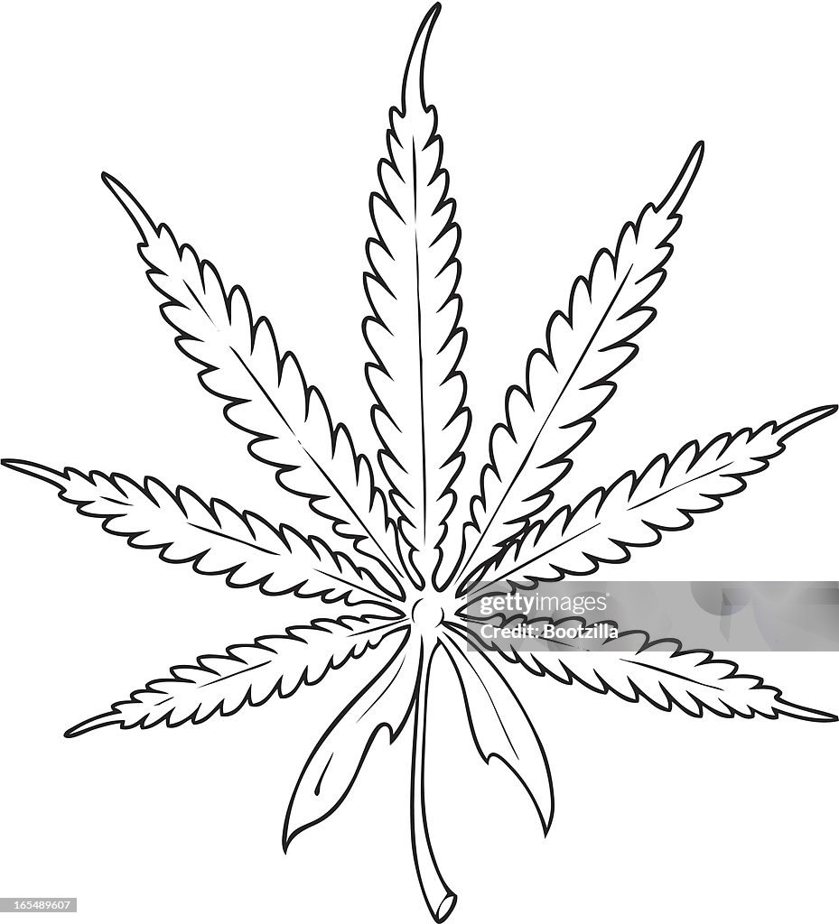 Marijuana
