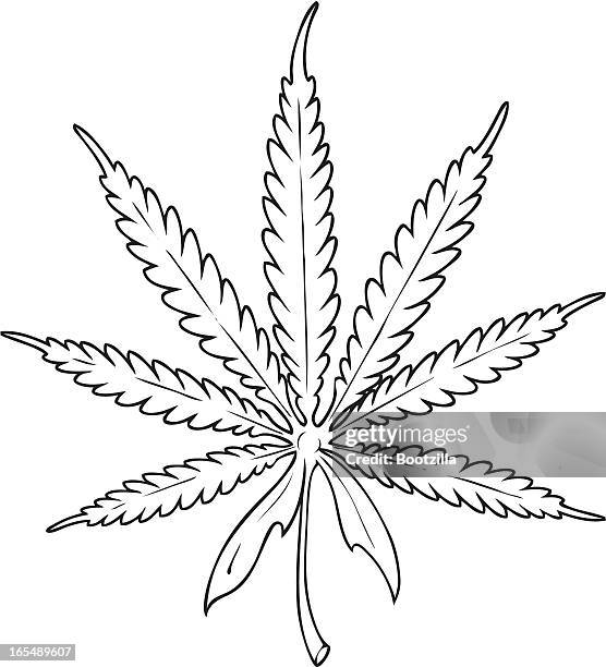 marijuana - marijuana bud vector stock illustrations