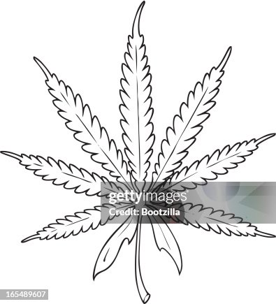 Marijuana Marijuana