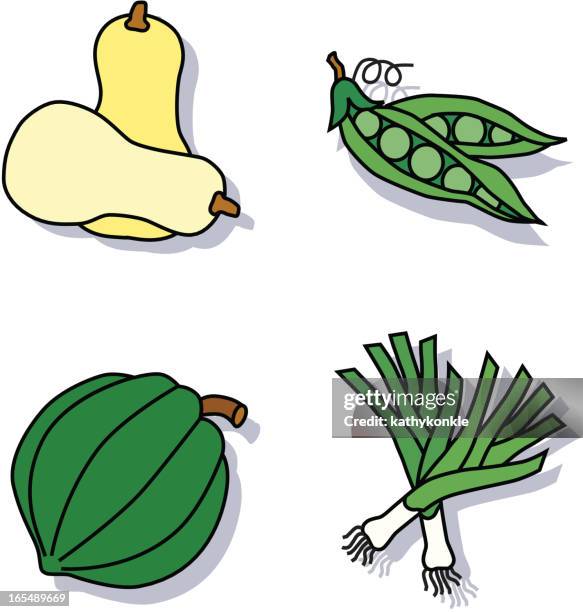 90 Ilustraciones de Calabaza Bellota - Getty Images 90 Ilustraciones de Calabaza Bellota - Getty Images