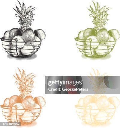 Fruit Basket Design Elements Fruit Basket Design Elements