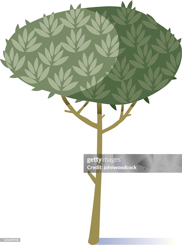 Basic tree