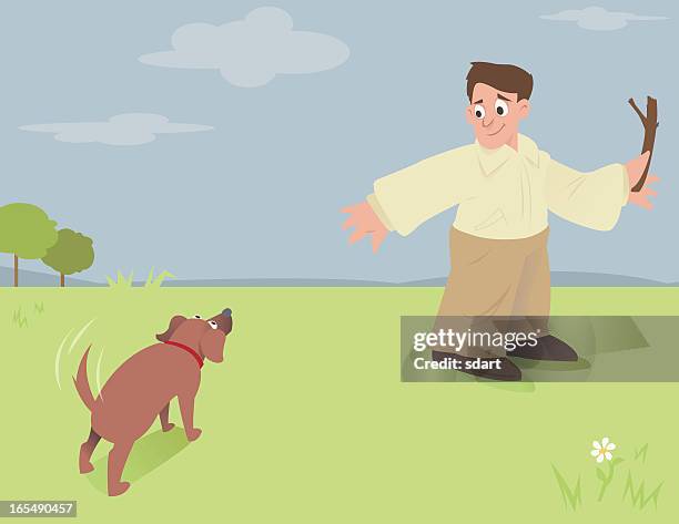 19 Dogs Playing Fetch Cartoon Stock Photos, High-Res Pictures, and ...