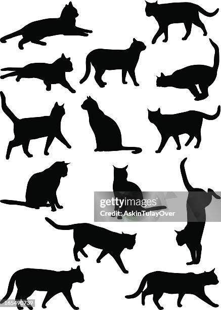 cats 2 - cat reaching stock illustrations