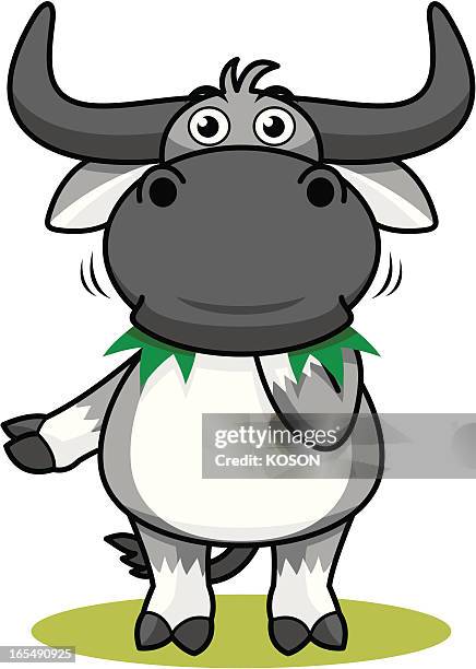 324 Funny Buffalo Photos and Premium High Res Pictures - Getty Images 324 Funny Buffalo Photos and Premium High Res Pictures - Getty Images