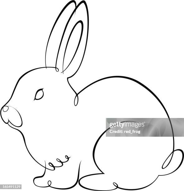 Native Rabbit Outline Rabbit Black And White Outline