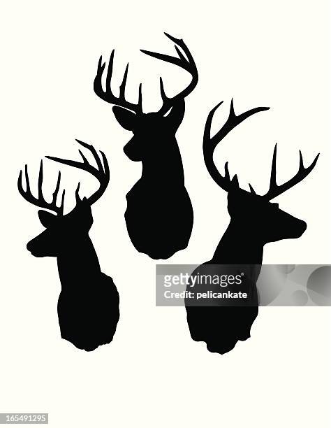 ilustraciones, imágenes clip art, dibujos animados e iconos de stock de siluetas de ciervo - asta