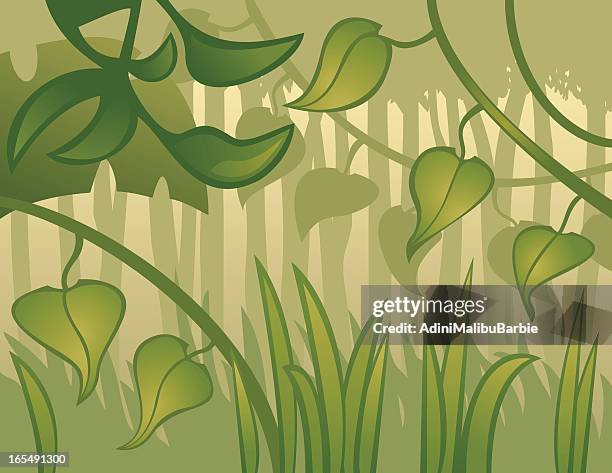 53 Ilustrações de Jungle Mist - Getty Images