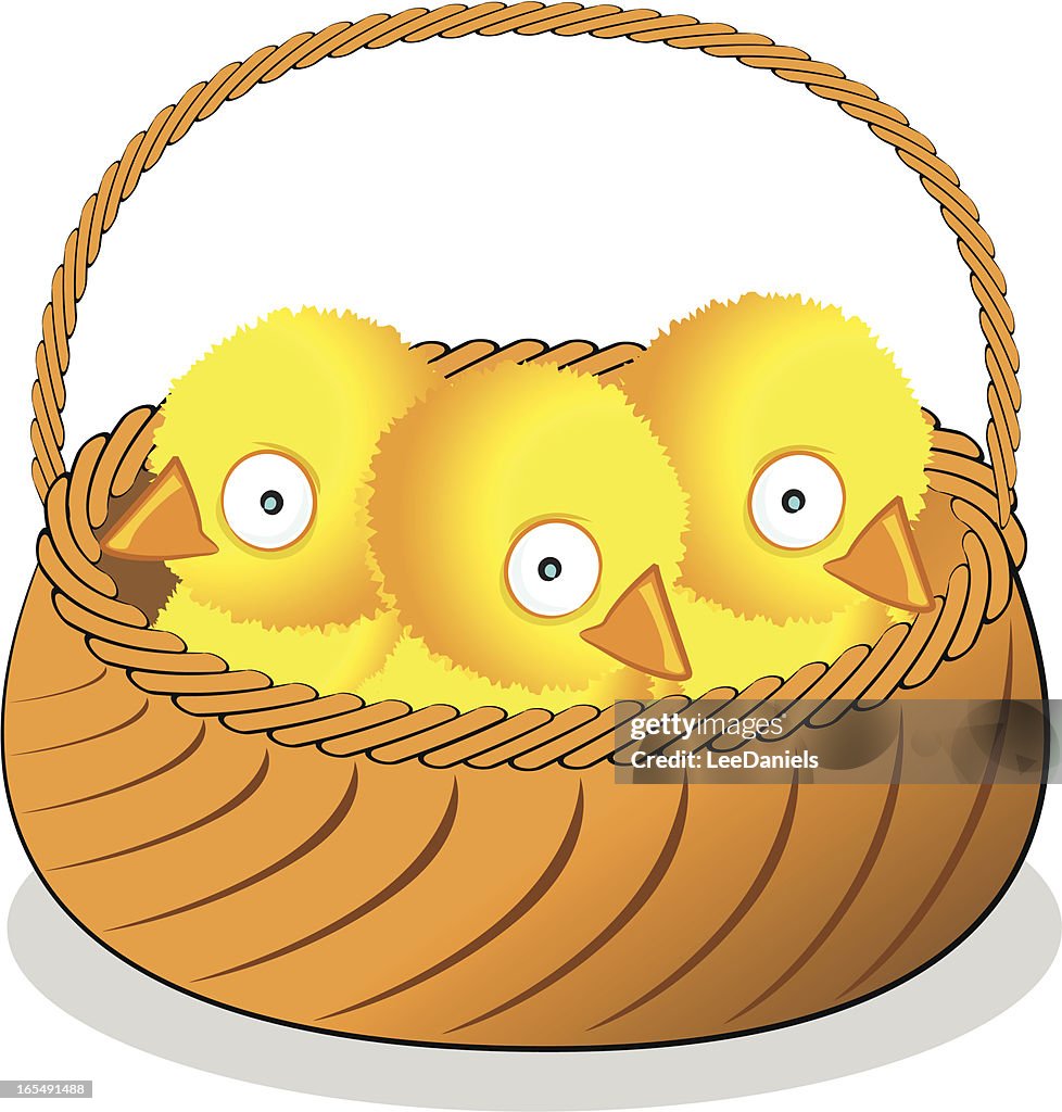 Chicks in a Wicker Basket