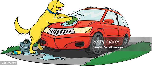 dog washing a car - savage dog stock illustrations