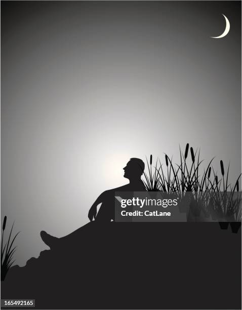 midnight meditation - new moon stock illustrations