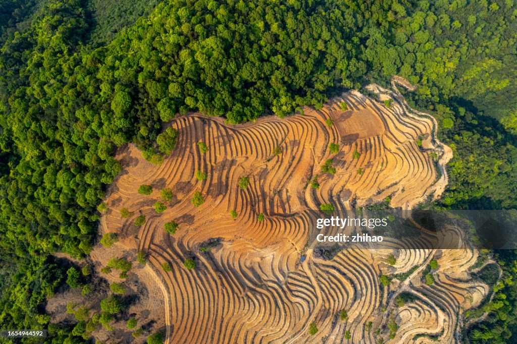 Overlooking lush woods and newly reclaimed land