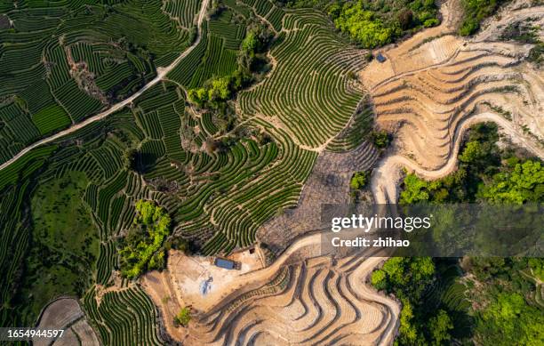 overlooking tea plantations and newly reclaimed land - reclaimed stock pictures, royalty-free photos & images