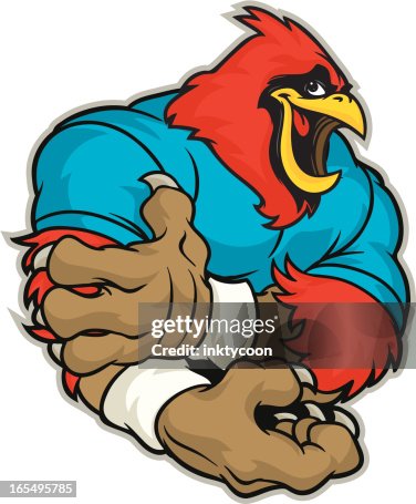 Cardinal Flex Cardinal Flex