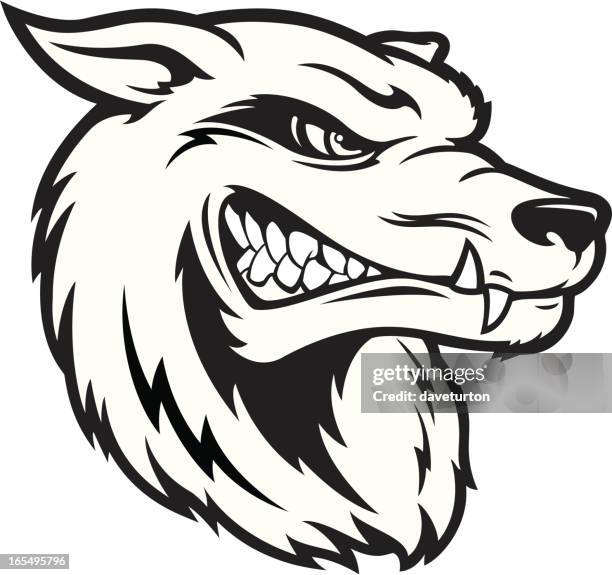 wolf head b&w - stalker stock illustrations