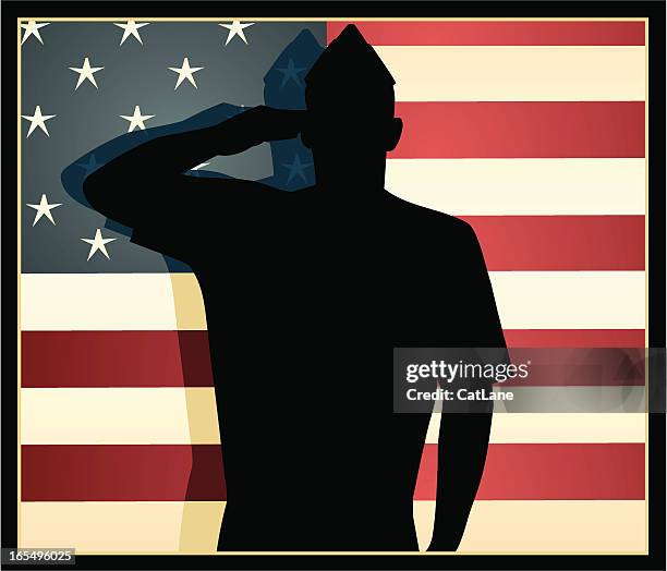 american patriot - us air force stock-grafiken, -clipart, -cartoons und -symbole