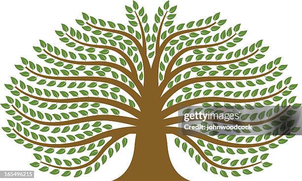 stockillustraties, clipart, cartoons en iconen met spreading tree. - stamboom