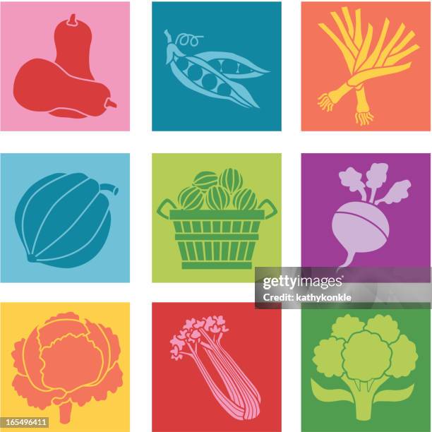 vegetable illustration with contrast and strong colors - butternut squash stock illustrations
