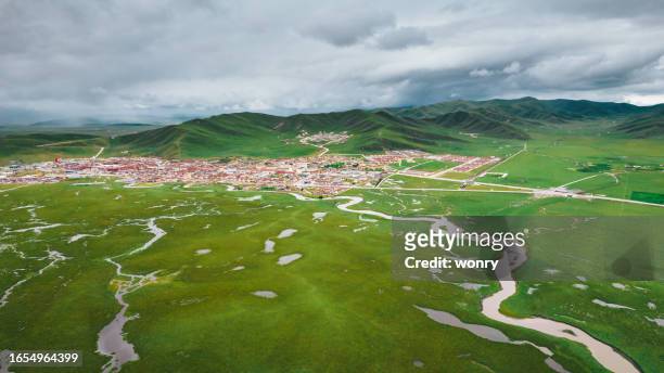 aerial view of awancang wetland in gansu province, china - water whorl grass stock pictures, royalty-free photos & images