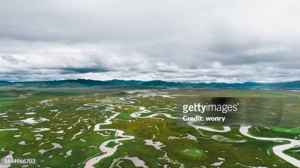 aerial view of awancang wetland in gansu province, china - water whorl grass stock pictures, royalty-free photos & images
