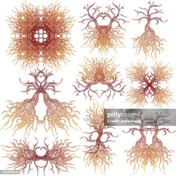 401 Tree Root Network Stock Photos, High-Res Pictures, and Images ...