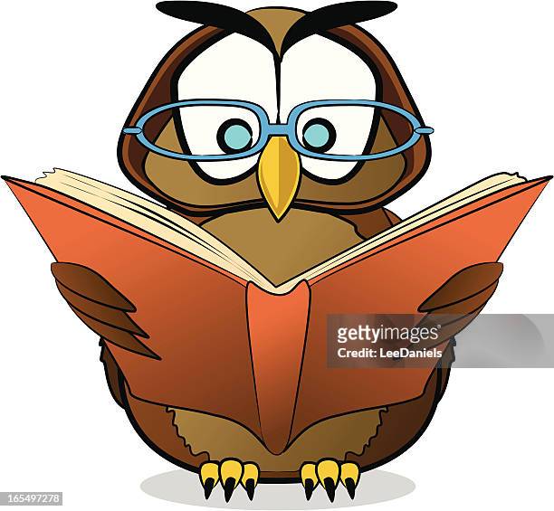 Wise Owl Cartoon High-Res Vector Graphic - Getty Images