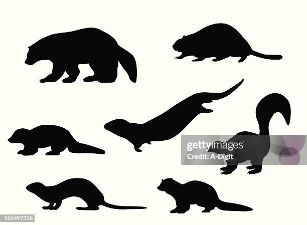 small animals vector silhouette - mink stock illustrations