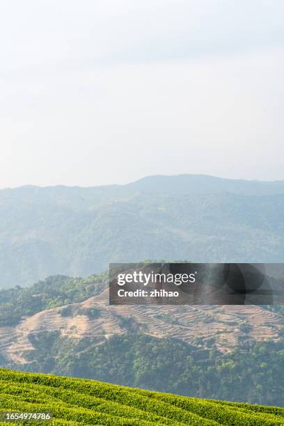 hilltop tea plantations and reclaimed land in the distance - reclaimed stock pictures, royalty-free photos & images
