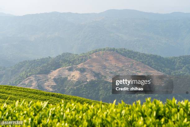 tea plantations and reclaimed land on the top of a mountain in the distance - reclaimed stock pictures, royalty-free photos & images