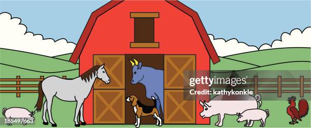 barnyard animals - rooster barn stock illustrations