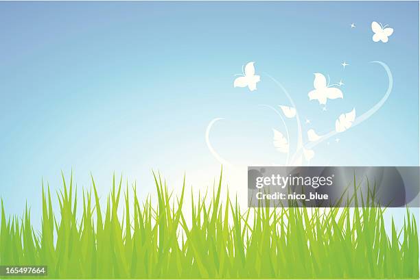 spring scene - force field stock illustrations