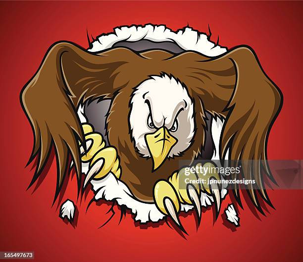 eagle_burst - hawk stock-grafiken, -clipart, -cartoons und -symbole
