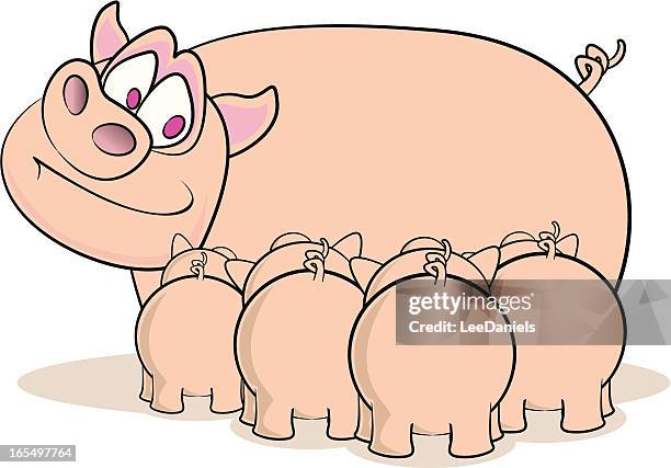 72 Pig Feeder High Res Illustrations - Getty Images