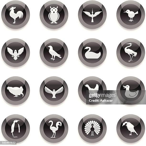 black round icons - birds - penguin icon stock illustrations