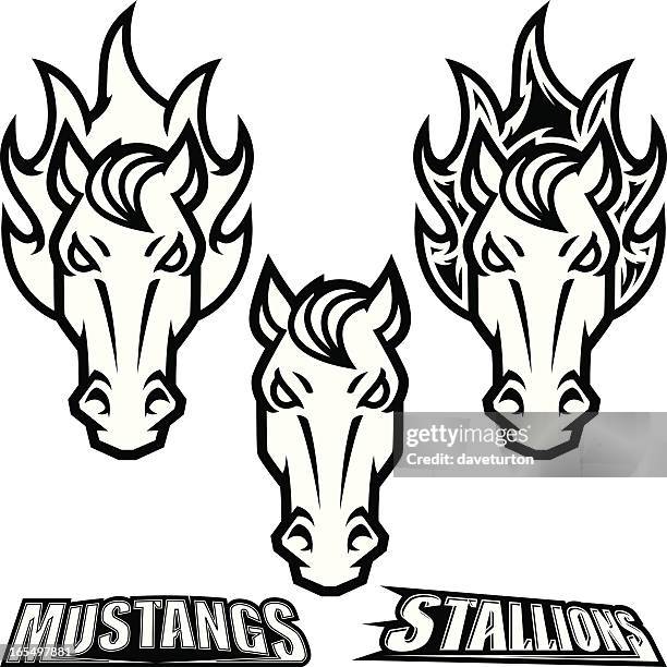 horse head mascot b&amp;w - horse mascot stock illustrations