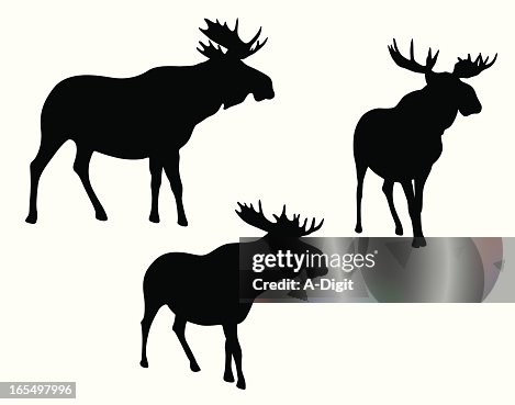 MooseMeese MooseMeese