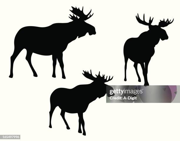moose meese vector silhouette - moose-silhouette stock illustrations