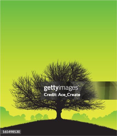 Tree of knowledge Tree of knowledge