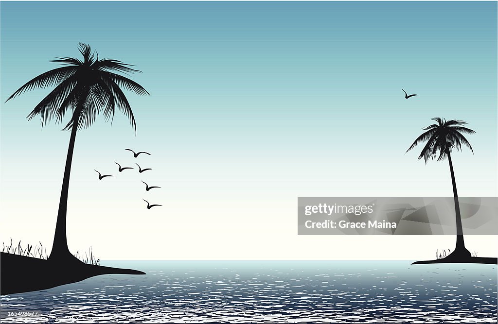 Palm trees on beach - VECTOR