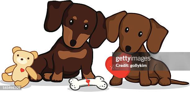 dachshund with valentine's presents - dachshund holiday stock illustrations