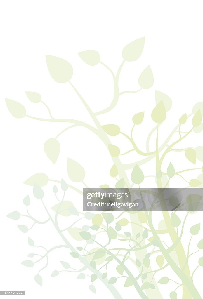 Green Branch Background