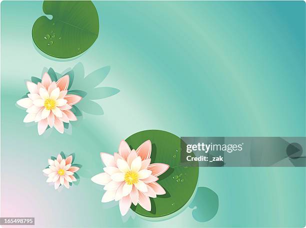 stockillustraties, clipart, cartoons en iconen met summer background - waterlelie